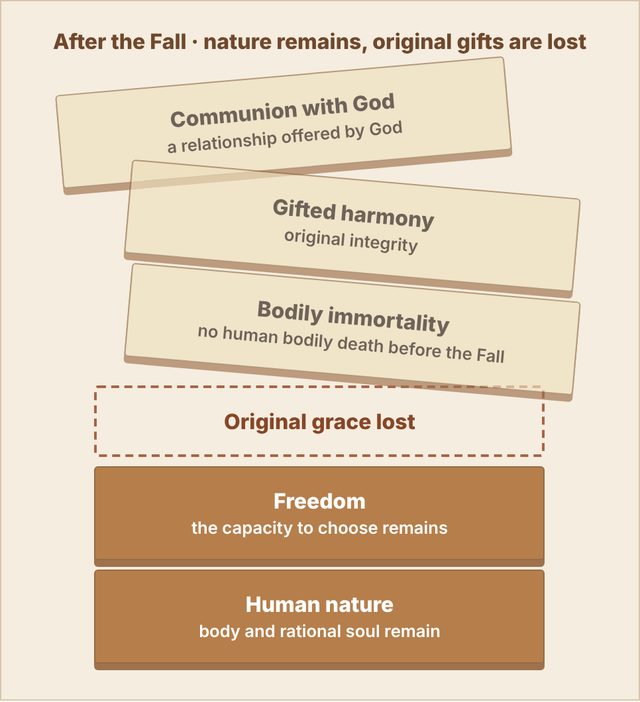 The same tower after the grace block is removed: the upper gifts slide away while freedom and human nature remain